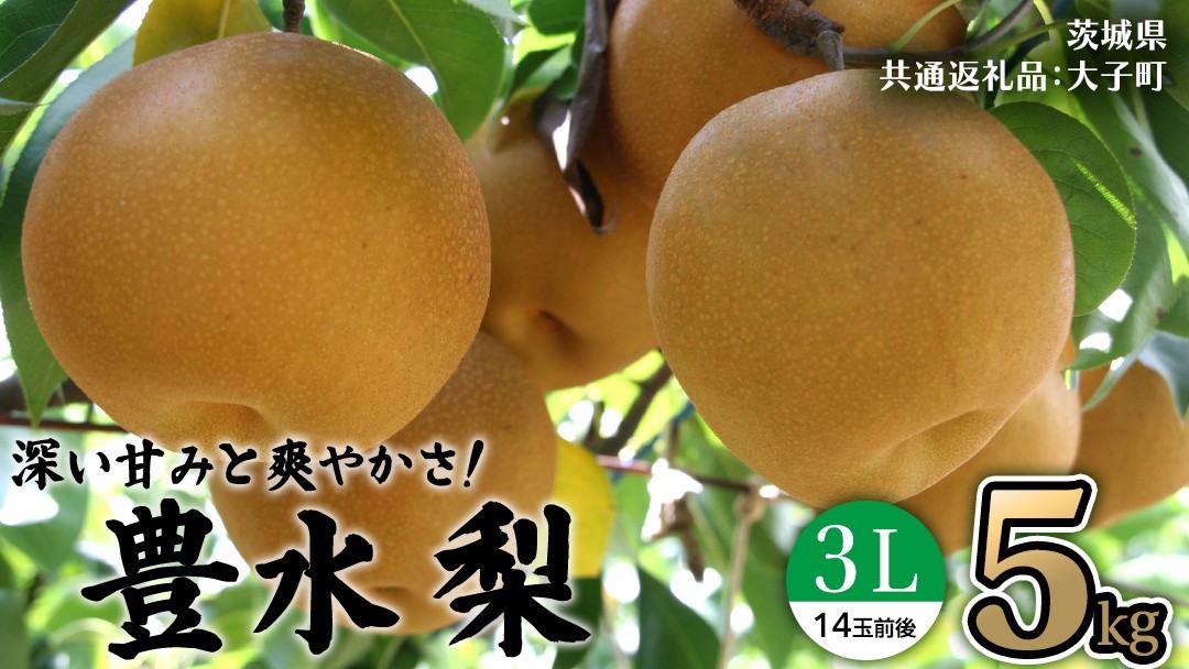 
            茨城県産 梨 豊水 3L 5kg(14玉前後) (茨城県共通返礼品：大子町) 梨 なし ナシ 果物 くだもの 季節 フルーツ デザート 旬果 
          