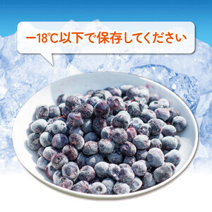 冷凍 ブルーベリー 約1350g 【 ブルーベリー 】