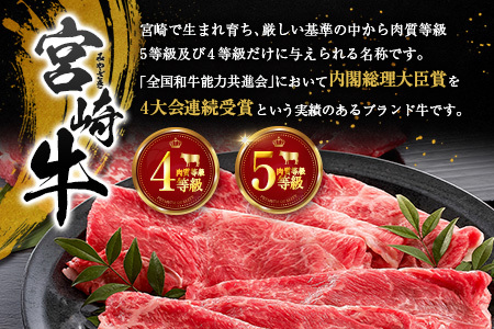 宮崎牛100% こだわり ハンバーグ 120g×10個 国産 黒毛和牛 惣菜
