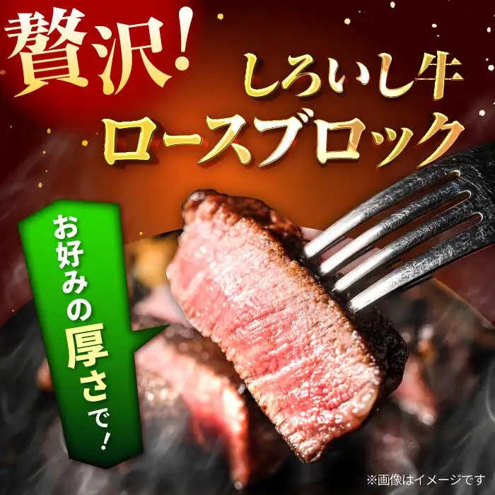  ロースブロック 1000g / 牛肉ブロック [IAH012]