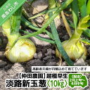 【ふるさと納税】【新玉予約！】超極早生新玉葱「福寿玉ねぎ」10kg◆配送2月上旬～4月中旬