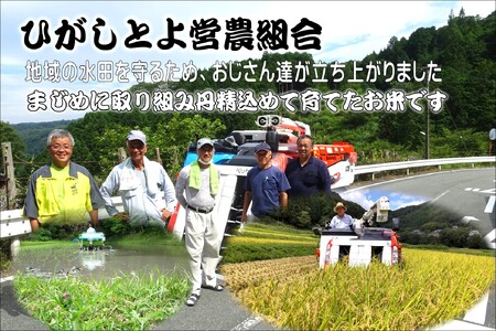 【令和7年産】ひがしとよ里山米 精米10kg(5kg×2袋)