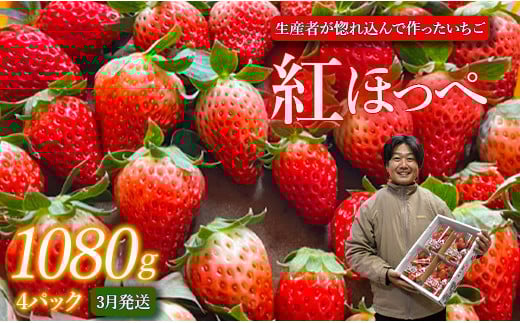 【3月発送】紅ほっぺ／270g×4パック（4パック入り1箱）