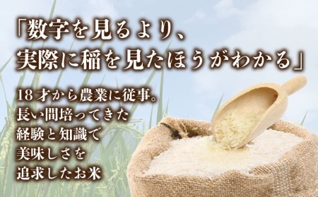 コシヒカリ10kg（5kg×2袋）＜都留市産＞【令和５年産】