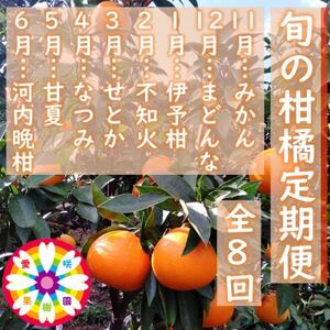 【発送月固定定期便】愛咲果樹園「旬の柑橘定期便」(11月～6月)【H71-34】全8回【4069715】
