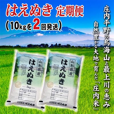 ふるさと納税 酒田市 【毎月定期便】山形県の米どころ庄内平野で育った庄内米　はえぬき10kgを2ケ月連続全2回 | 