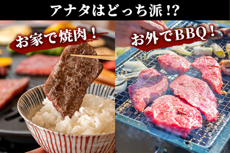 佐賀牛 焼肉セット 600g BBQ バーベキュー 焼き肉 バラ モモ D-191