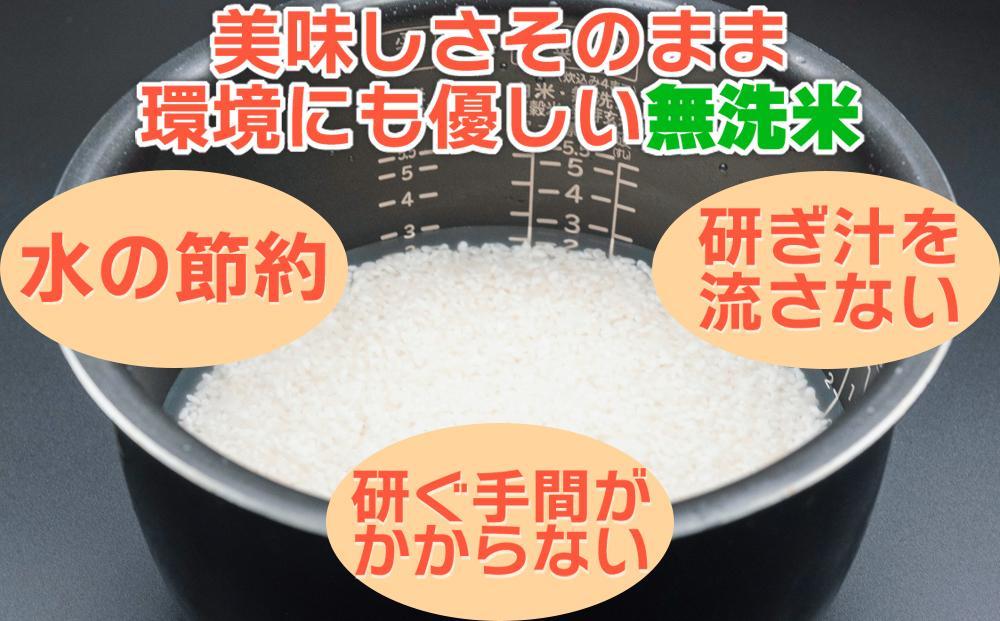 【JAみなみ魚沼定期便】南魚沼産こしひかり無洗米（15kg×全6回）研がずに炊ける 節水 手間いらず 精米 特A獲得日本一産地 高品質精米 雪国の恵み もっちり甘い 南魚沼産コシヒカリ
