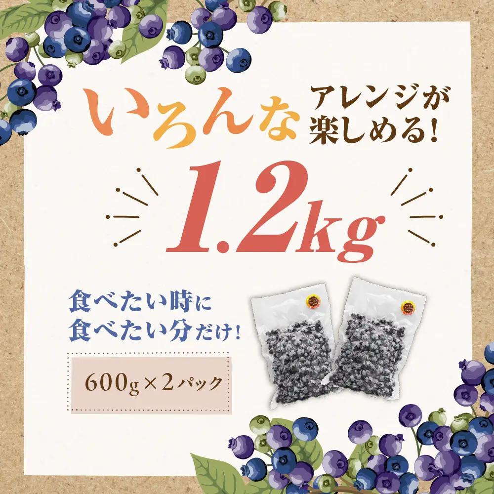 【2026年7月より順次発送】栽培期間中農薬不使用！急速冷凍ブルーベリー 1.2kg 【JAほたるの里】_HA1517 | ベリー フルーツ