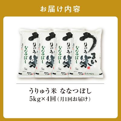 ふるさと納税 雨竜町 【定期便全4回】 うりゅう米 ななつぼし 5kg(5kg×1袋)毎月1回お届け 雨竜町 |  | 03