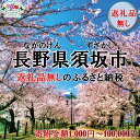 【ふるさと納税】【楽天限定】 【返礼品無し】 【選べる寄附金額】 長野県 須坂市 信州須坂ふるさと応援寄附金（クラウドファンディング対象）