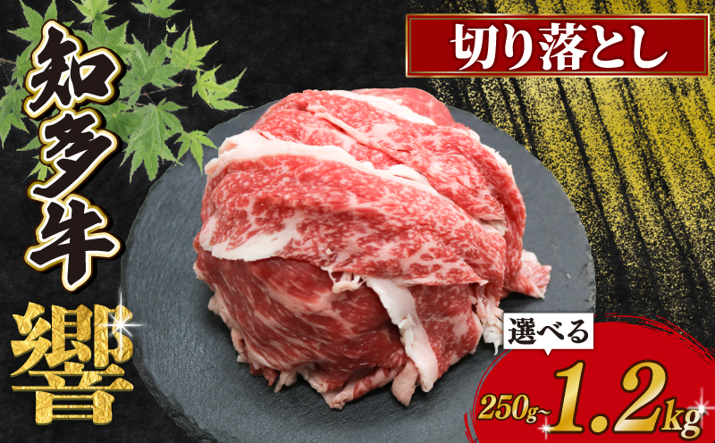 
            容量選べる 知多牛 切り落とし 250g～1.2kg 冷凍 知多牛響 切り落とし 小分け パック 約1kg きりおとし 肉 牛肉  ふるさと納税切り落とし 切落し 切り落し肉 国産牛肉 国産牛 牛肉 小分けで便利 お手軽 ご褒美 冷凍牛肉 お肉 切り落し おにくふるさと納税牛肉 ふるさと納税肉 有限会社寿屋精肉店 お肉 切落 切り落し 切り落とし 牛 人気 おすすめ 愛知県 南知多町 
          