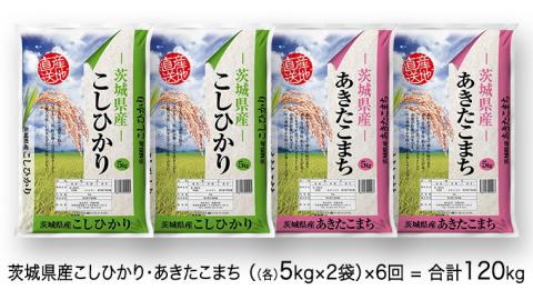 【6ヶ月定期便】 令和4年産米 茨城県産 コシヒカリ ・ あきたこまち 大容量 食べ比べ セット (精米) 20kg ( 5kg ×2袋×2品種)×6回　計 120kg 単一米 [AK024ya]