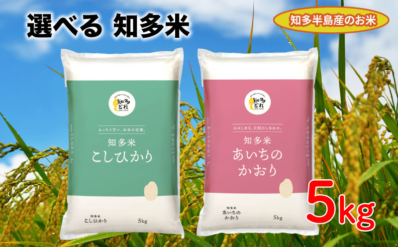 
            知多米 選べる こしひかり あいちのかおり 5kg 米 コシヒカリ こめ こしひかり 米 ライス ご飯 ごはん 主食 愛知  コシヒカリ こめ こしひかり 米 ライス ご飯 ごはん 主食 コシヒカリ こめ こしひかり 米 ライス ご飯 ごはん 主食 コシヒカリ こめ こしひかり 米 ライス ご飯 ごはん 主食 コシヒカリ こめ こしひかり 米 ライス ご飯 ごはん 主食 愛知県 南知多町
          