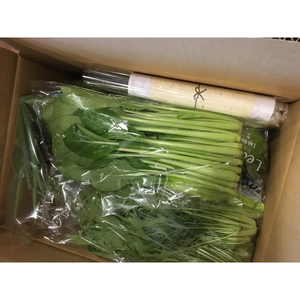 野菜 忍びの国の野菜セット（12品以上）【mtur0001】