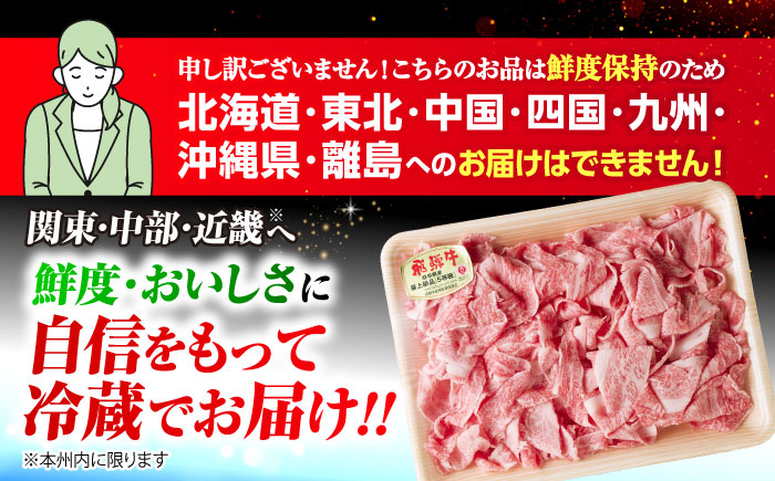 【3回定期便】 ※冷蔵配送/地域限定※ 飛騨牛 小間切 450g 瑞浪市 / きなぁた瑞浪 和牛 国産 岐阜県産 [AZCI068]