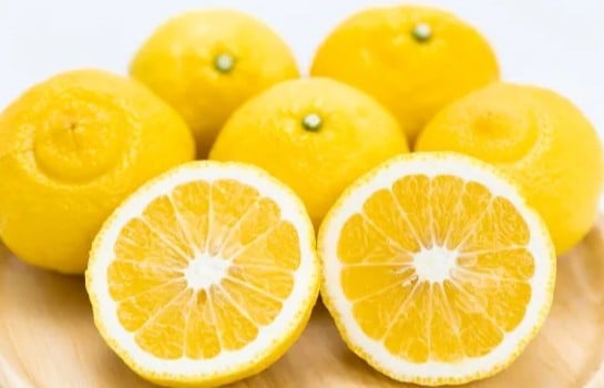 
                  贈答用 森本農園の手選別 はるか 約10kg 和歌山県産 L～2Lサイズ［北海道・沖縄・離島配送不可］［RN155］
                