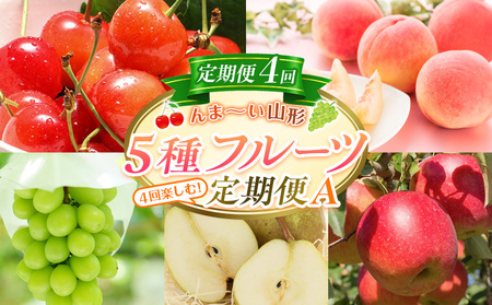 【定期便4回】☆んま～い山形☆5種フルーツ！4回楽しむ！定期便A(さくらんぼ佐藤錦、白桃、シャインマスカット、ラ・フランス、サンふじりんご) FY25-473