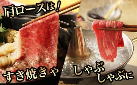 宮崎牛焼肉4種盛り＆宮崎牛肩スライス500g合計980gセット_22-8902_(都城市) 都城産宮崎牛 焼肉4種盛り ロース 肩ロース モモ バラ 宮崎牛肩スライス 