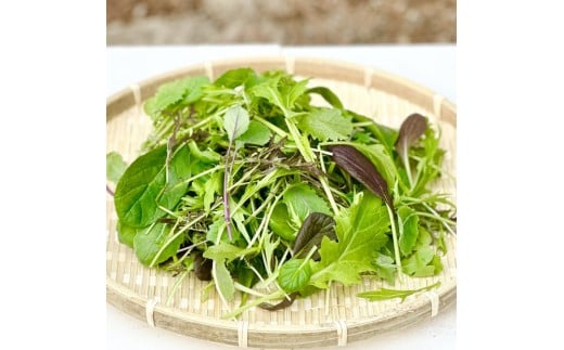 
            岡山県産 新鮮野菜 ベビーリーフ10種ミックス 計400g
          