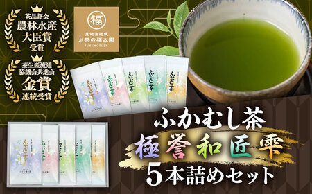 ふかむし茶 5本詰め セット 計500g 飲み物 BHAI010 飲み物