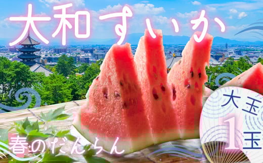 大和スイカ「春のだんらん」【2025年6月初旬～6月下旬ごろ発送予定】 ／ ヒロちゃんファーム 西瓜 スイカ すいか 果物 フルーツ デザート  奈良県 田原本町