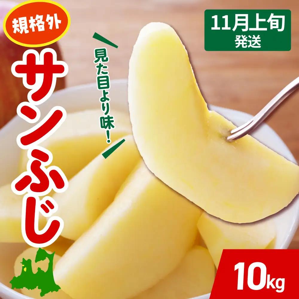 【2026年11月上旬発送】 りんご 約 10kg サンふじ 【規格外】 青森県産 りんご