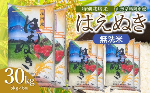 【令和8年産 新米】 斎藤農場の特別栽培米 はえぬき 無洗米 30kg（5kg×6袋） 山形県鶴岡市 [K-8222]  | 30キロ 米どころ 庄内米 ブランド米 米 コメ こめ ご飯 ごはん 美味しい お取り寄せ 農家直送 東北 山形 鶴岡市 国産 おすすめ 人気 返礼品