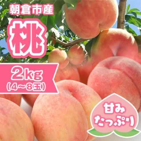 桃 朝倉市産 約2kg 4～8玉 もも モモ 果物 デザート ※配送不可：離島