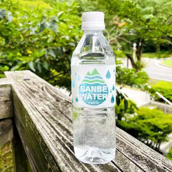サンベウォーター（国立公園三瓶山の天然水） 【 天然水 水 500ml 24本 ミネラルウォーター シリカ水 鉱水 みず ペットボトル 】
