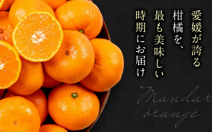 【先行予約】【12月上旬から順次発送】【期間・数量限定】愛媛みかん 南柑20号 赤秀10kg箱（100玉〜160玉） 果物 フルーツ みかん ミカン 愛媛みかん 愛媛県大洲市/愛媛たいき農業協同組合[