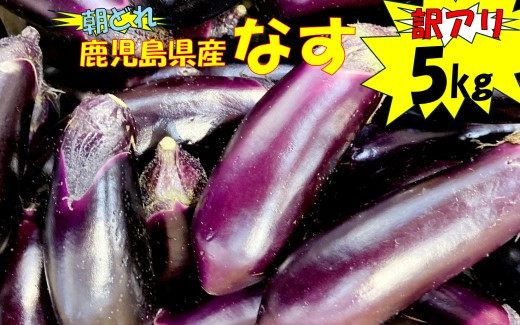 
            【訳アリ】【朝どれ】 鹿児島県産ナス  5kg  季節限定 農家直送 鹿児島県産 ZS-784
          