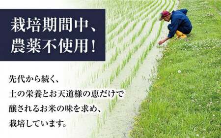 【令和6年度産】【全12回定期便】自然栽培米滋賀旭　 2kg白米×12回　滋賀県長浜市/株式会社お米の家倉[AQCP048]