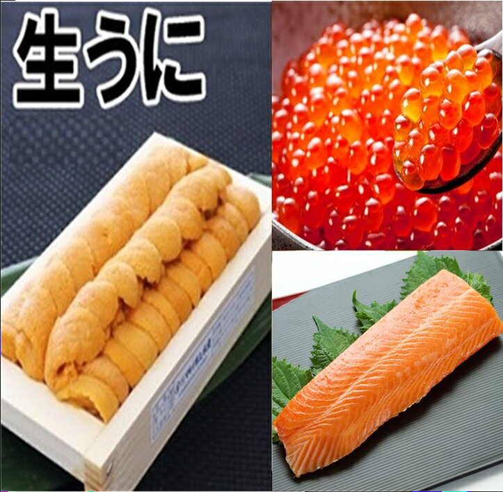 【ふるさと納税】エゾバフンウニ140g×1折、いくら醤油漬け(鱒卵)150g×1P、お刺身サーモン300g～500g(1～3本)[11月下旬以降発送] E-71042