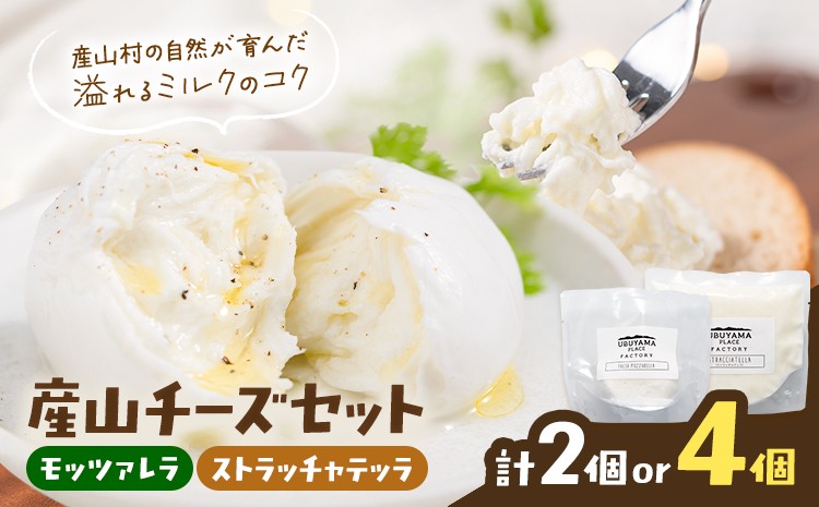 
                  産山チーズセット モッツァレラチーズ ストラッチャテッラチーズ 株式会社UBUYAMAPLACE 選べる 2個セット 4個セット《30日以内に出荷予定(土日祝除く)》熊本県 産山村 チーズ モッツァレラ ストラッチャテッラ フレッシュ フレッシュタイプ ナチュラルチーズ 冷凍 セット
                