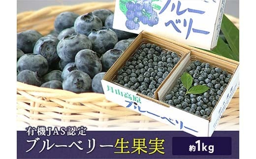 
            《先行予約 2026年度発送》《数量限定・期間限定》有機JAS認定 栽培ブルーベリー 生果実 約1kg FSY-2386
          