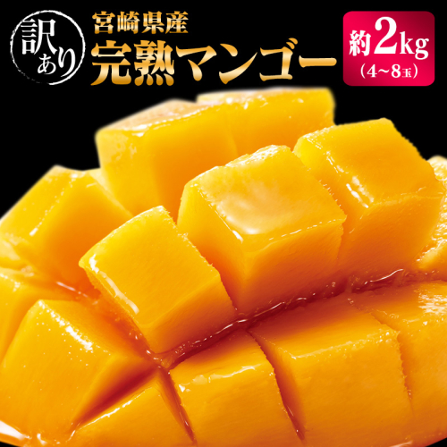 宮崎県産「訳あり」完熟 マンゴー 約2kg（4～8玉）先行予約 南国 フルーツ 果物【C400-26】
