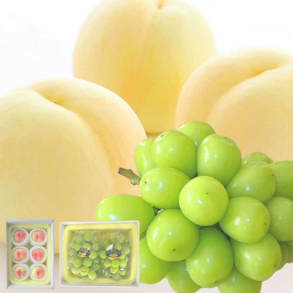 【ふるさと納税】桃 ぶどう 定期便 （隔月） 先行予約 晴れの国 岡山の フルーツ 定期便 3回 コース 白桃 もも 葡萄 シャイン マスカット 葡萄 岡山産 国産 フルーツ 果物 ギフト 岡山県 倉敷市 送料無料 【隔月3回定期便】【2026年7月上旬より順次発送開始】