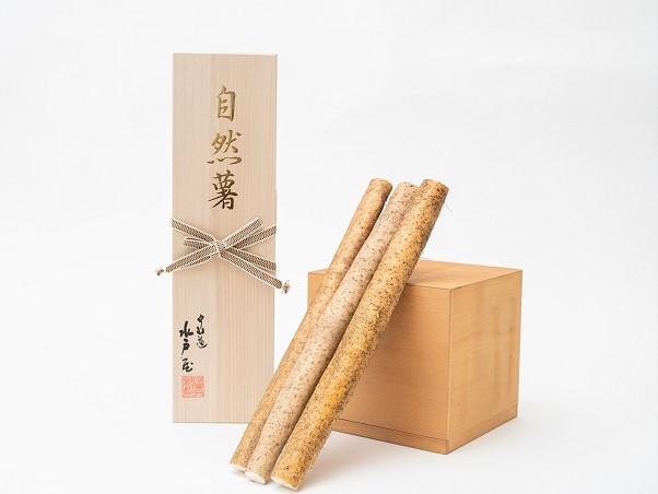 
                  水戸屋の自然薯 桐箱入り
                