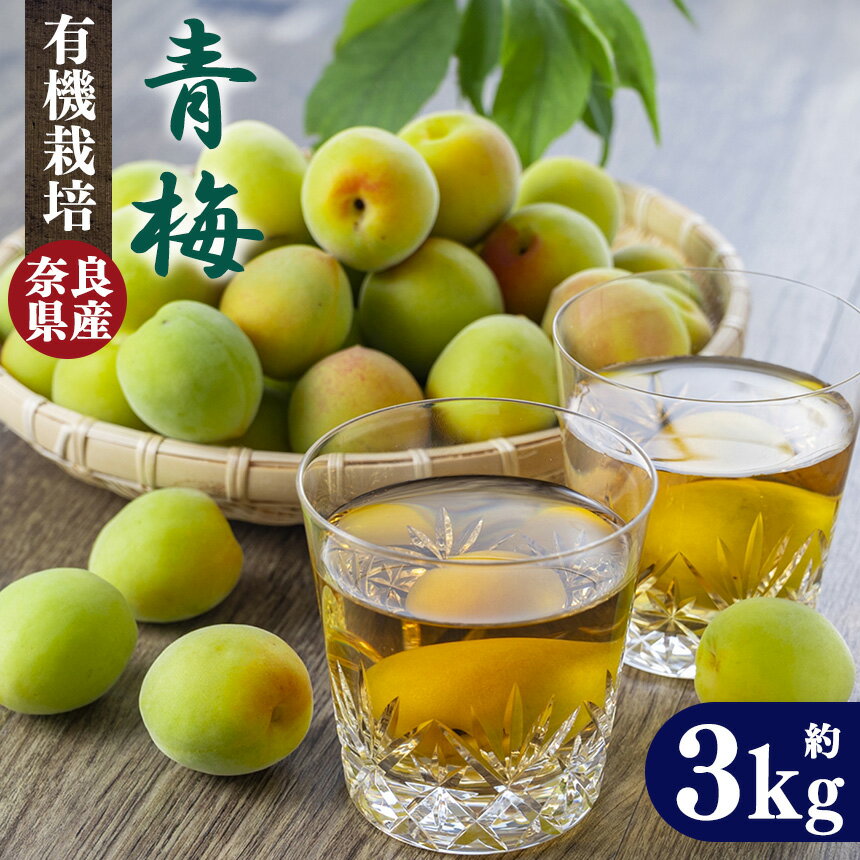 【ふるさと納税】有機栽培　青梅 3kg（ジュース・梅酒・酵素用）|＜先行予約※6月上旬〜中旬頃順次発送予定＞ 果実 かじつ カジツ 梅 うめ ウメ 酒 奈良県 五條市