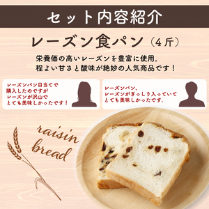 3回定期便 レーズン食パンセット【室戸海洋深層水仕込み】4斤×3回 食パン もちもち ぱん 北海道産小麦使用 朝食 ギフト 定期便 人気 食事パン おやつ レーズン ぶどう ドライフルーツ 頒布会