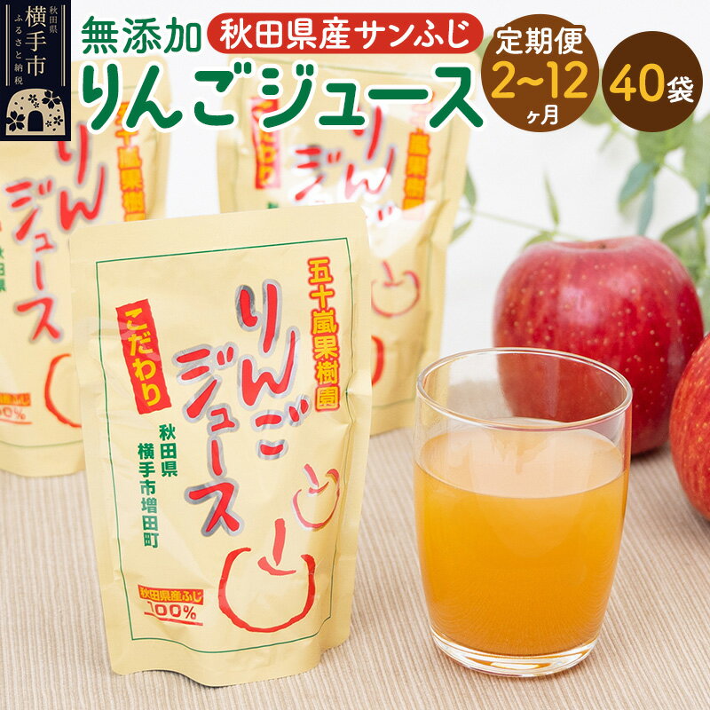【ふるさと納税】《定期便2〜12ヶ月》無添加りんごジュース（サンふじ）40パック リンゴジュース
