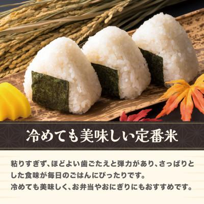 ふるさと納税 尾花沢市 令和7年産 新米 玄米 はえぬき 30kg 山形県尾花沢市産 ja-hagxa30 |  | 02