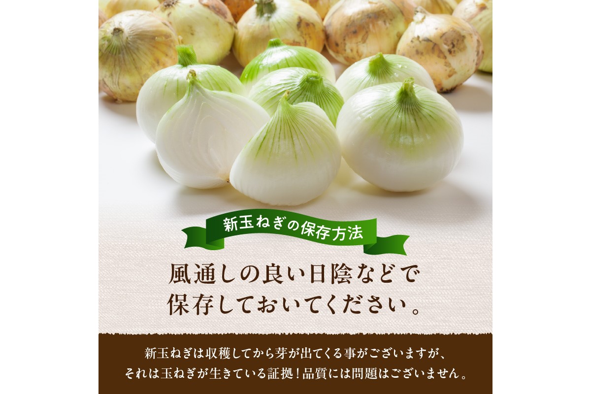 【訳あり】新たまねぎ　JA00063