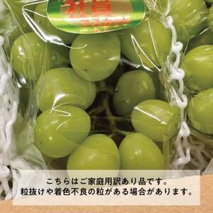 【きよとうファーム】訳ありご家庭用ピオーネとシャインマスカット/計約2.4kg(岡山県産)【配送不可地域：離島】【1602238】
