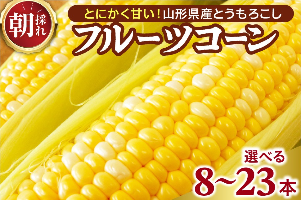 
                  【令和8年産】【選べる内容量8本、13本、23本】とにかく甘い、朝採りとうもろこし「フルーツコーン」  【かほくらし社】
                