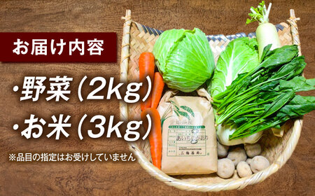 愛西市産 あいちのかおり3kgと旬の季節野菜詰め合わせ お米 精米 野菜 愛西市／お米の三輪[AECM001]