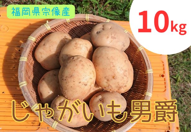 循環型有機肥料で育った男爵いも　10kg【アグリCATS】_HA1349