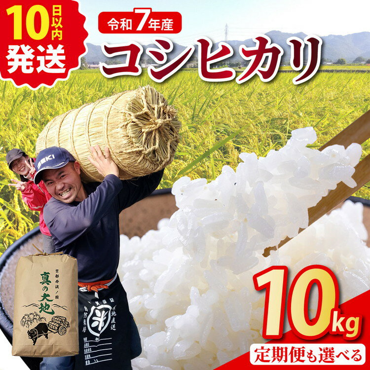 【ふるさと納税】米 定期便【令和7年産】コシヒカリ 10kg 京都府亀岡市 京都丹波産 白米 精米 農家直送 回数が選べる 1回 3回 6回 12回 こしひかり こめ コメ 精米したて