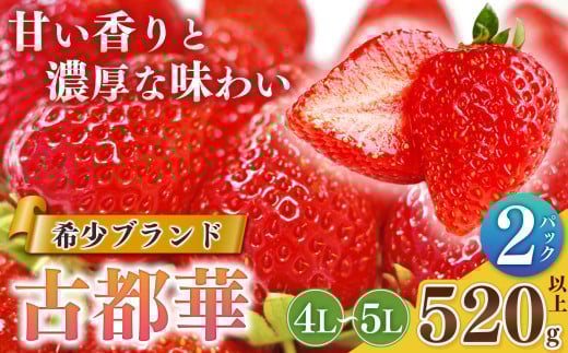 いちご 平群 の 古都華 4L 〜 5L サイズ 2パック  扇田農園 | 先行予約 フルーツ 果物 くだもの ブランド いちご 苺 古都華 ことか 甘い 大人気 満足 希少 希少品種 ストロベリー 美味しい 品種 特徴 糖度 ルビー色 1月 2月 3月 4月 発送 旬 送料無料 濃厚 香り 果汁 味わい深い お取り寄せ 産地直送 扇田農園 名産地 奈良県 平群 町